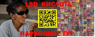 шишки Пугачёв